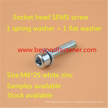 Sems Screw M6 * 25